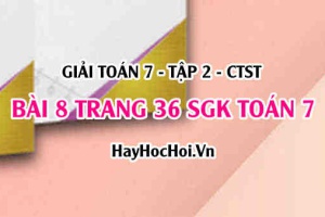 Giải bài 8 trang 36 Toán 7 Tập 2 SGK Chân trời sáng tạo